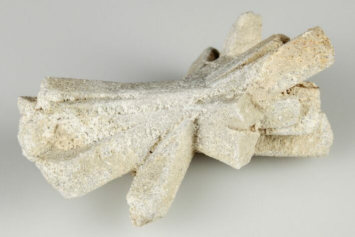 Radiating, Sand Celestine (Celestite) Crystals - Kazakhstan #193407